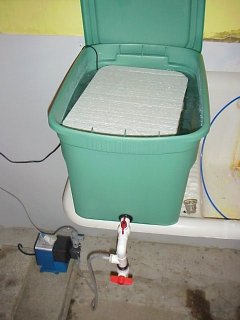 tubtop.jpg, 06/02/2001, 14 kB