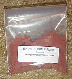 brineflake.jpg, 06/04/2001, 20 kB