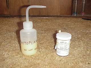esvphyto.jpg, 06/04/2001, 24 kB