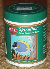 sprirulinaflake.jpg, 06/04/2001, 14 kB